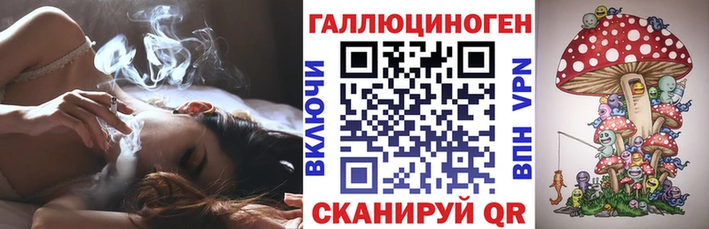 Псилоцибиновые грибы Cubensis  купить закладку  Гуково 